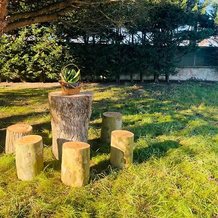 The Yellow Retreat Kwatera prywatna