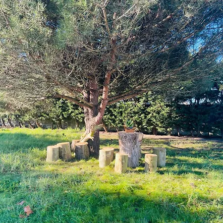 The Yellow Retreat * A dos Cunhados