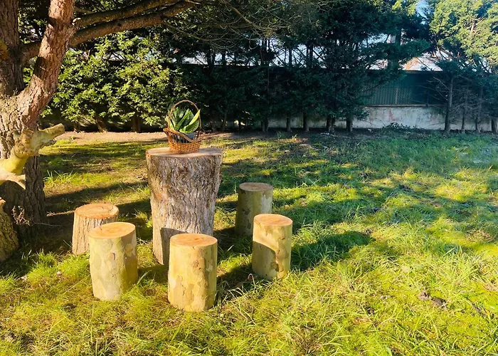 The Yellow Retreat Homestay szállás