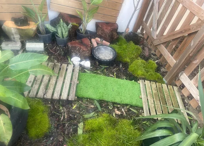 Homestay szállás The Yellow Retreat *